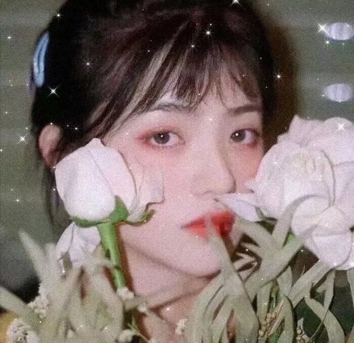 天才少女福尔摩斯2